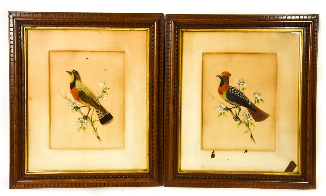 Pair Framed Bird Feather Art Watercolor Paintings (1 of 7)