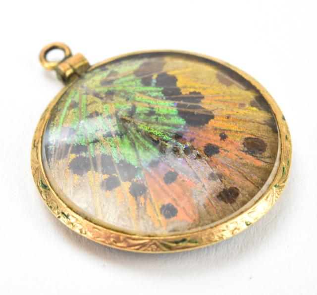 Estate Glass Front & Back Locket w Butterfly Wings: Estate Glass Front & Back Locket w Butterfly Wings. Gold filled and glass locket necklace pendant with natural butterfly wings inside. Measures 1.25 inches in length.