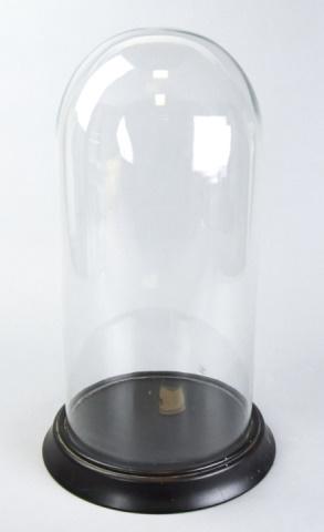 Blown Glass Cloche Dome w Wooden Base Display (1 of 10)