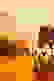 item-105965082=6