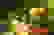 item-105965499=6