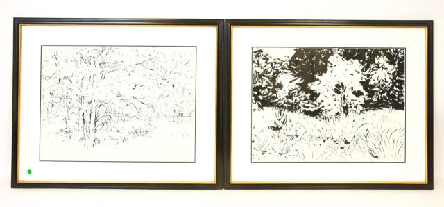 Two Framed Carl Ashley Abstract Ink Paper Drawings (1 of 10)
