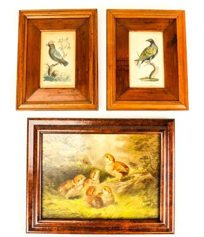 Antique 19th C Hand Colored Bird Engravings (1 of 10)