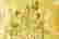item-108391272=6
