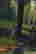 item-108391375=5