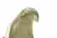 item-108391462=6