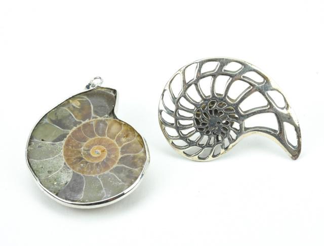 Sterling Silver Ammonite Brooch & Fossil Pendant (1 of 8)