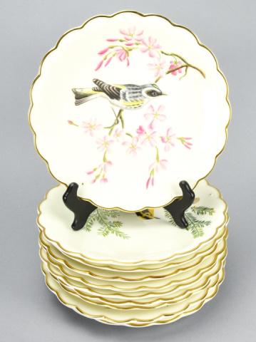 Royal Worcester Dorothy Doughty 1973 Bird Plates: 10 Vintage Royal Worcester The Birds of Dorothy Doughty 1973 Limited Edition Plates. Dessert plate measures 9 inches in diameter.