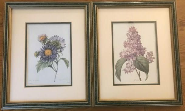 Pair of Framed & Matted Botanical Prints (1 of 6)