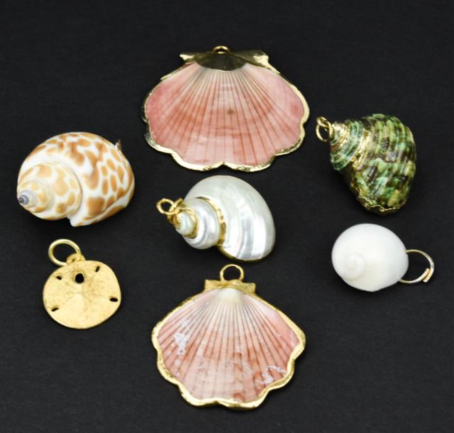 Sea Shell Necklace Pendants & Vermeil Sand Dollar (1 of 8)
