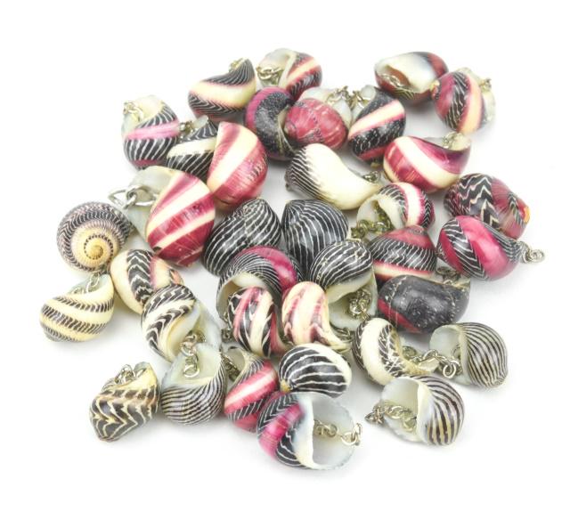 Natural Sea Shells Mounted as Pendants / Charms (1 of 8)