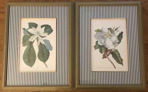 Pair of Framed & Matted Botanical Prints (1 of 3)