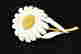 item-119127059=2