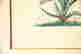 item-119693798=7