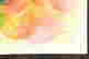 item-119693810=3