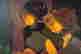 item-120692159=2