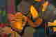 item-120692159=3