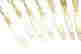 item-121530800=2