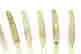 item-121530800=6