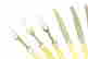 item-121530801=4