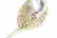 item-121530803=5