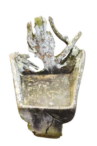 Specimen Carved Driftwood Outdoor Chair (1 of 4)