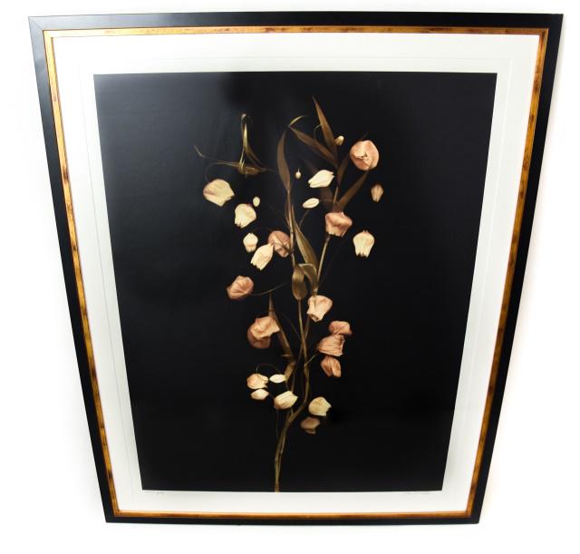 Dried Flower Still Life Photograph Artist Proof (1 of 7)