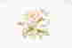 item-128281148=3