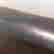 item-130780438=5