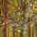 item-131311274=10