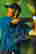 item-131311430=4