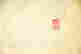 item-131414160=5