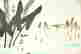 item-131414169=2