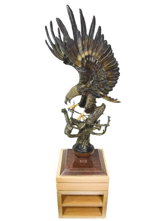 Large Chester Fields Building For The Future Eagle (1 of 10)