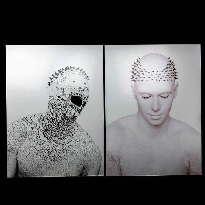 Dina Goldstein Photographic Portraits on Aluminum (1 of 9)