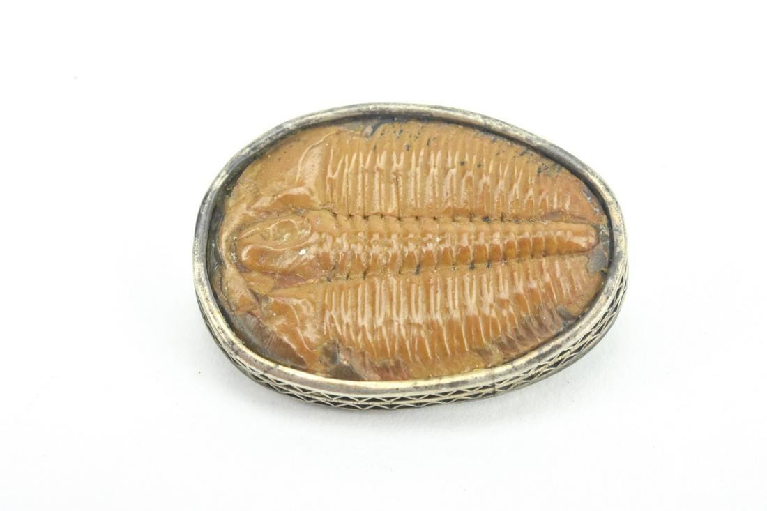 Antique Sterling Silver Mounted Fossil Brooch: Antique Sterling Silver Mounted Fossil Brooch. Measures 1 inch in length.