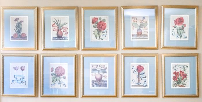 10 Professionally Framed English Botanical Prints (1 of 12)