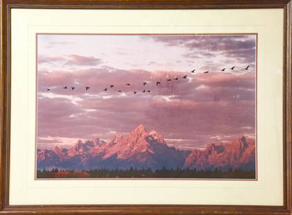 Thomas D Mangelsen Mountainscape Framed Photograph: Thomas D Mangelsen Birds Flying Over Mountainscape Framed Photograph. Frame measures 40 inches x 29.5 inches. Window measures 30 inches x 20 inches.