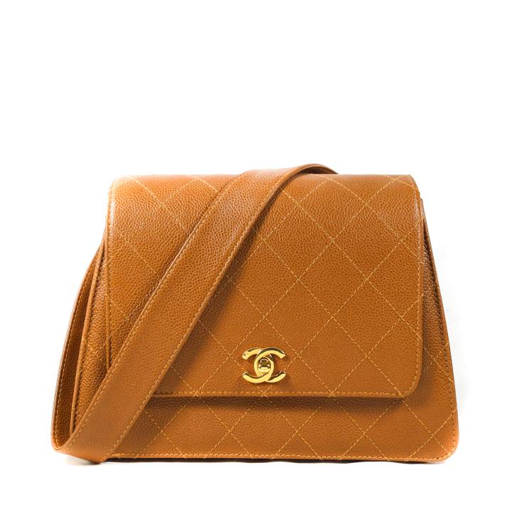 Chanel Patent Brown Leather Hand Bag (1 of 5)