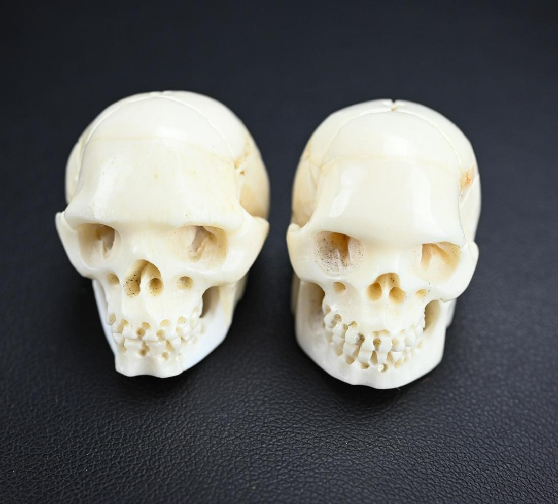 Pair of Hand Carved Bone Memento Mori Skull Beads: Pair of Hand Carved Bone Memento Mori Skull Beads. Each approximately 1 inch in length and drilled with a hole from top to bottom for jewelry making. Very well detailed hand carved bone or horn.