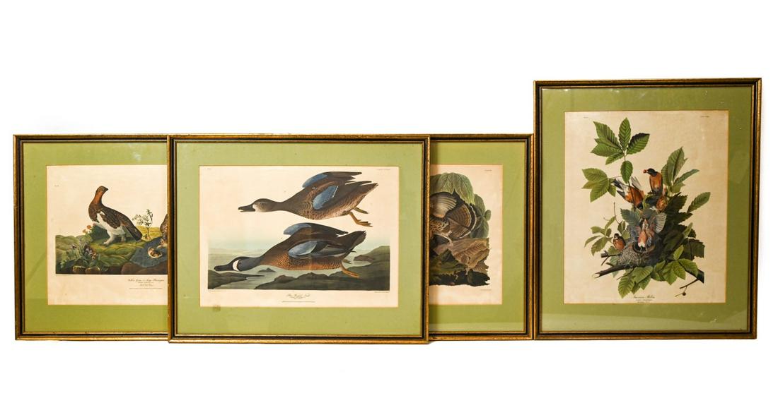 4 Antique Audubon Framed Prints (1 of 10)