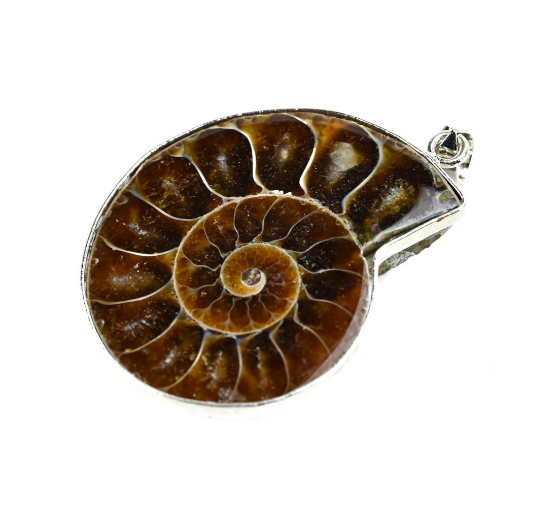 Silver Mounted Ammonite Fossil Necklace Pendant: Silver Mounted Ammonite Fossil Necklace Pendant. Measures 1.75 inches in length.