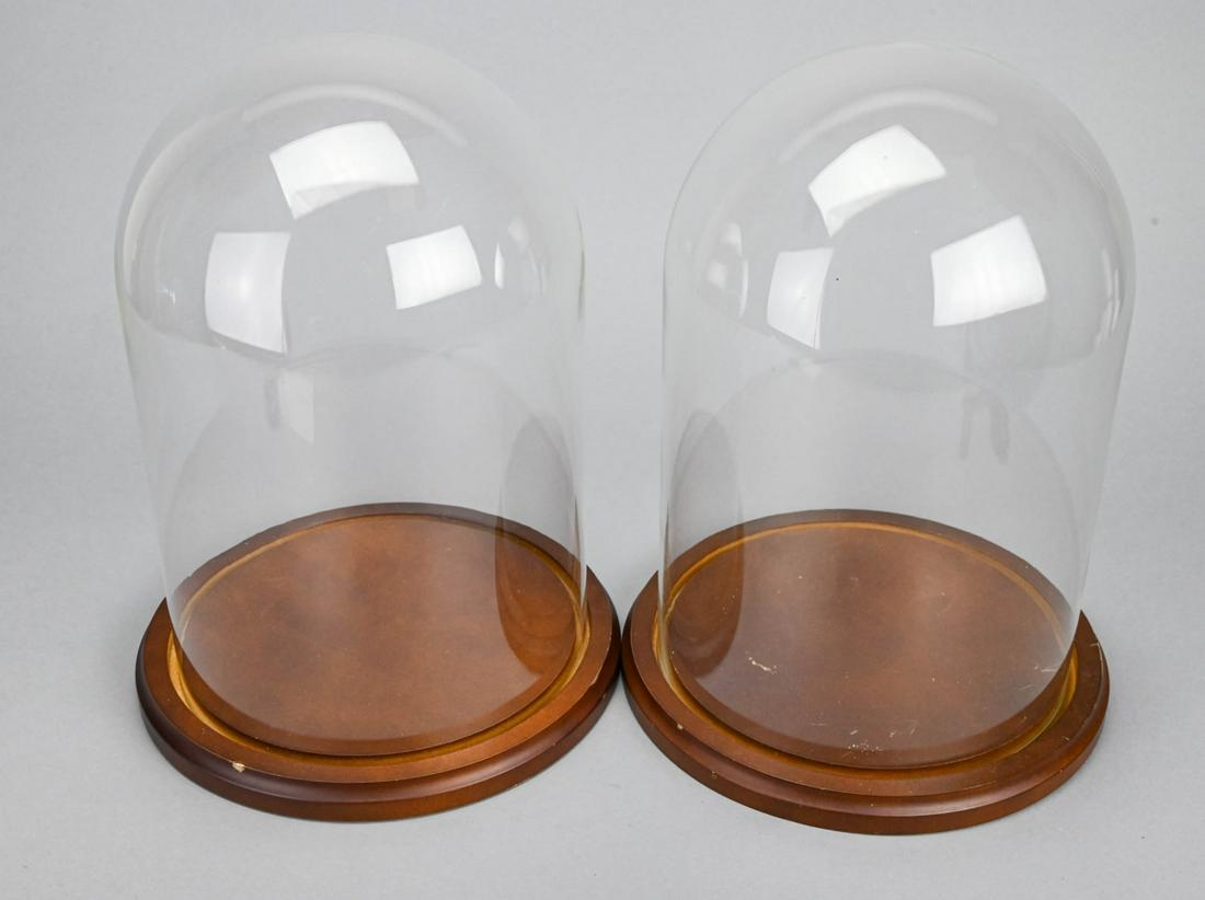 Pair Glass Dome Display Cloches with Wooden Bases (1 of 10)