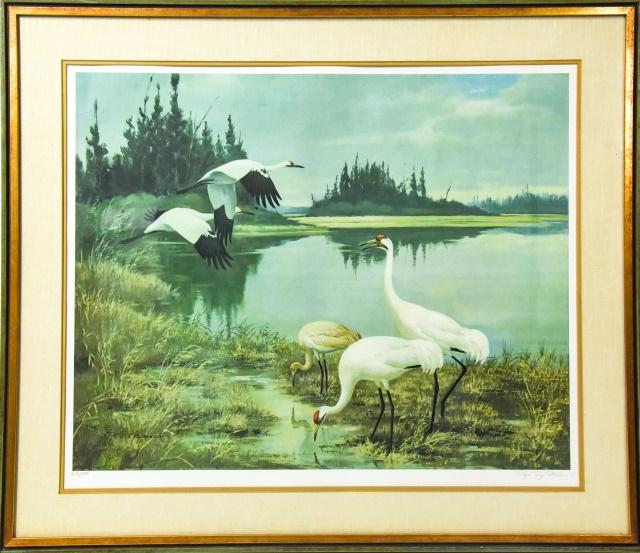 Roger Peterson Wading Whooping Cranes Lithograph (1 of 8)