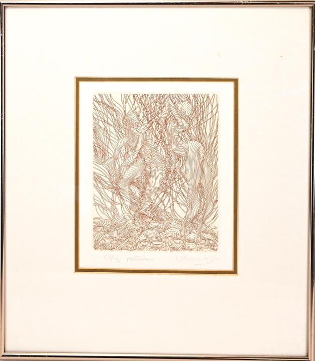 Guillaume Azoulay Gracilistyla Etching (1 of 9)