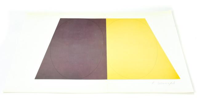 Signed R Mangold Plane/Figure Series D Print (1 of 7)