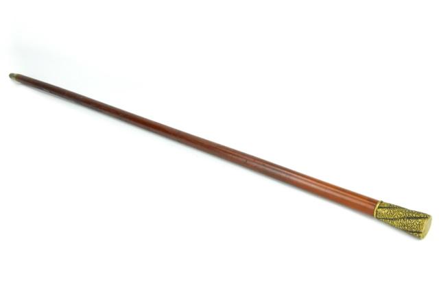 Antique Cane / Walking Stick w Sea Life Handle (1 of 7)