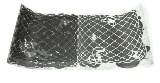 Pencil Signed Terry Winters Knotted Graphs Poster (1 of 8)