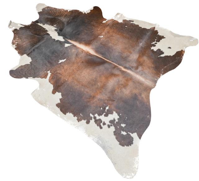 Natural Steer Hide Brown & White Area Rug (1 of 9)