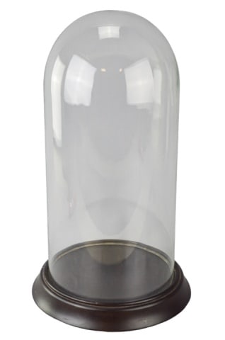 Blown Glass Cloche Dome Display w Carved Base (1 of 6)